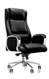 Echair-545 ML