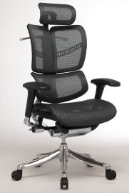 Expert Fly FL-01
