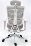 Expert Fly FL-01