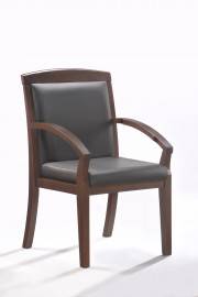 Echair-421 KR