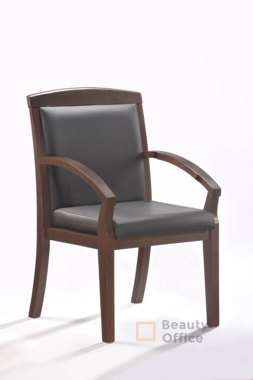 Echair-421 KR