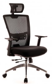 Everprof Polo S